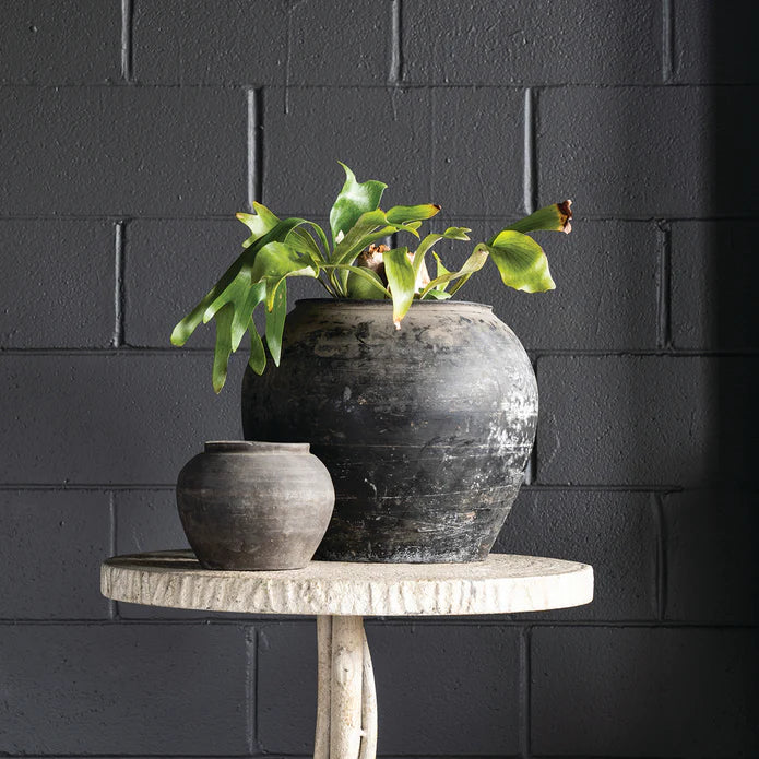 Small Cunmin Pot styled as a planter