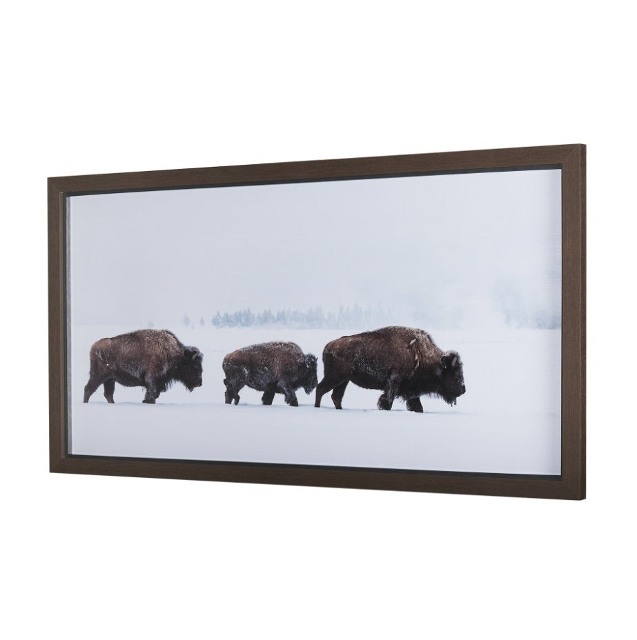 Frozen Trek Framed Art: Product View