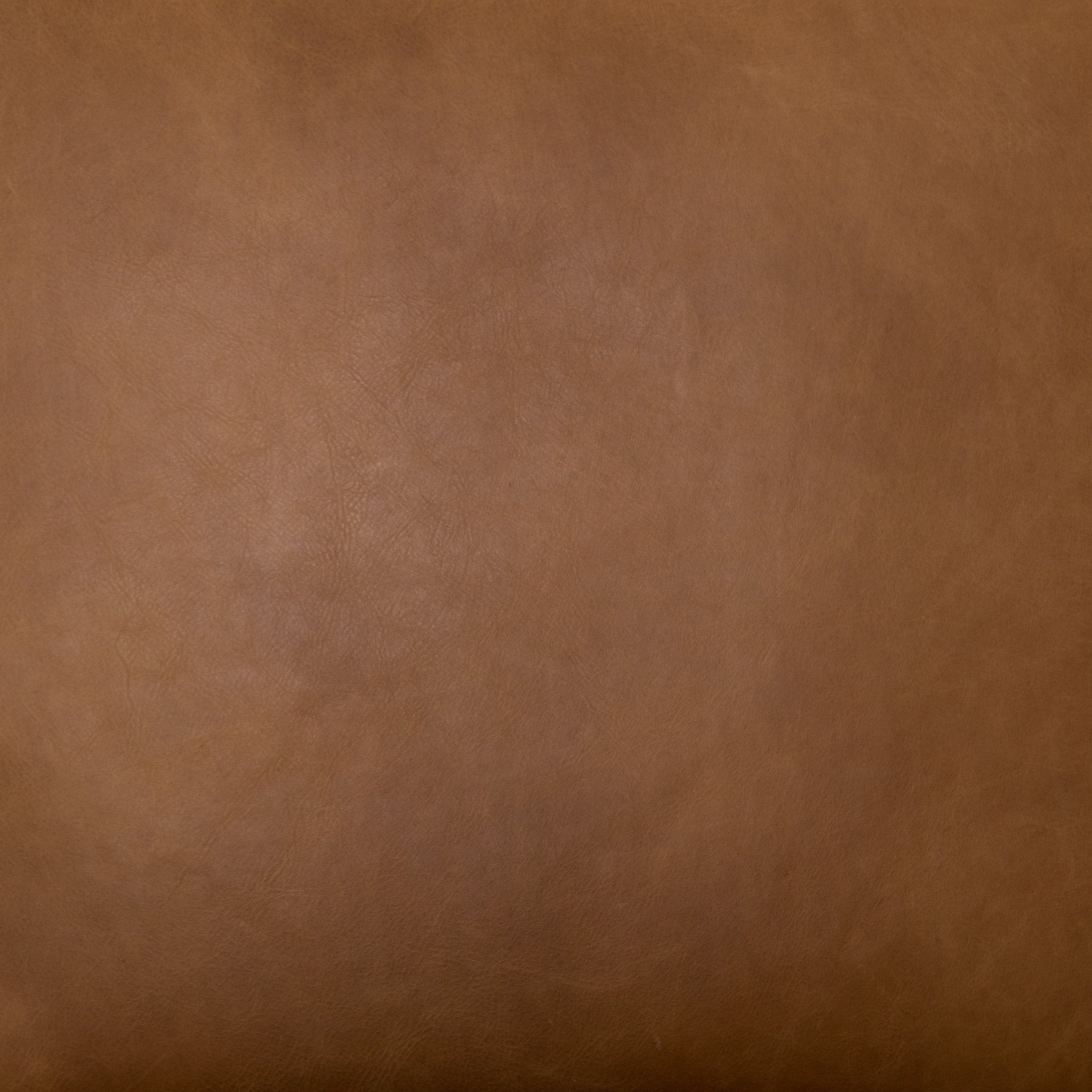 Silas Accent Chair: Leather Upholstery View