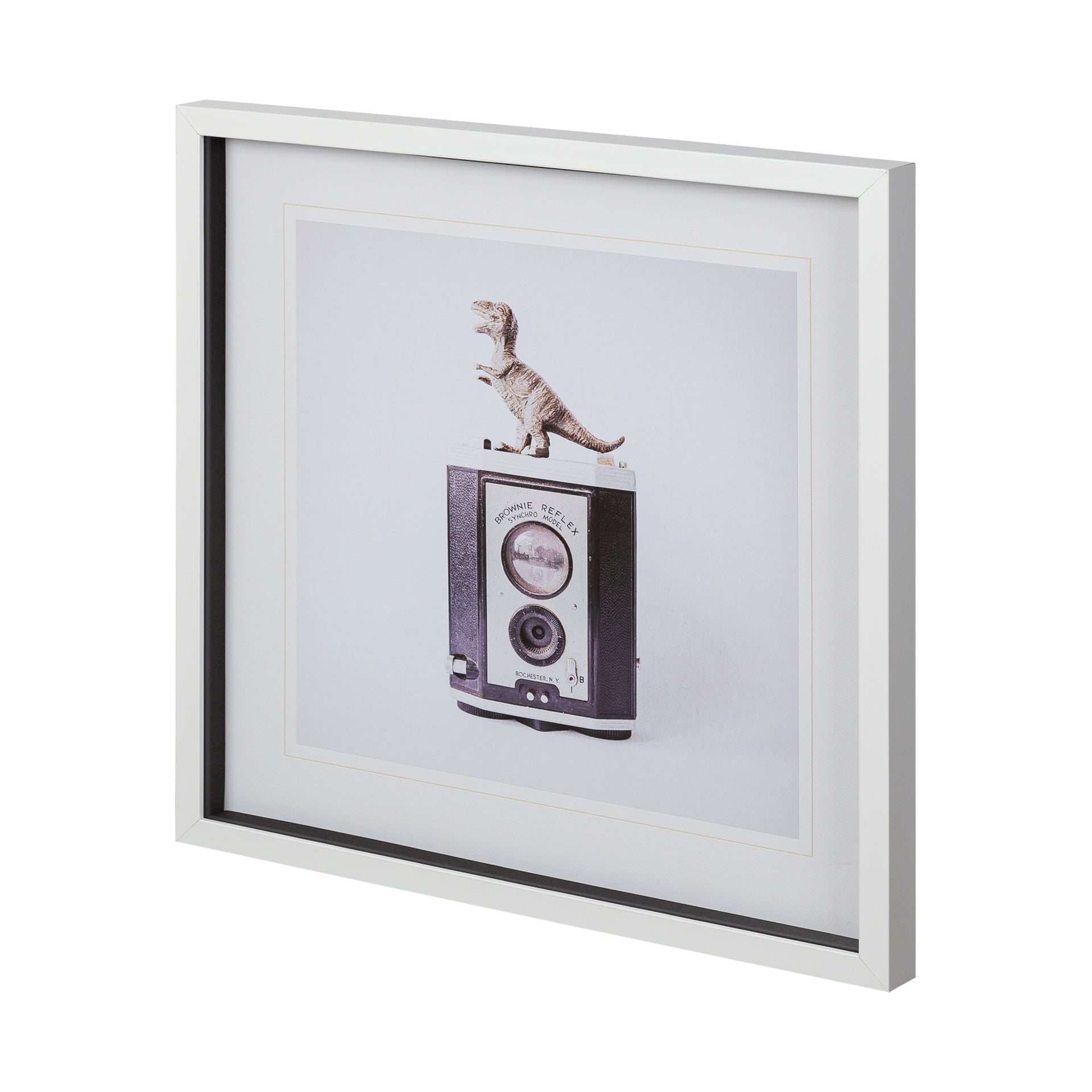 T-Rex & Vintage Camera: Available at City Home PDX