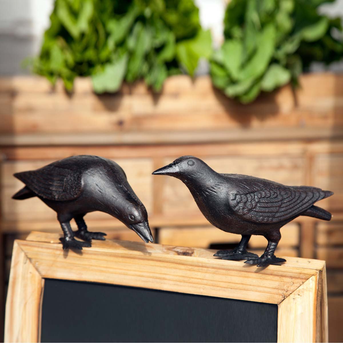 Cast Iron Crows - Park Hill