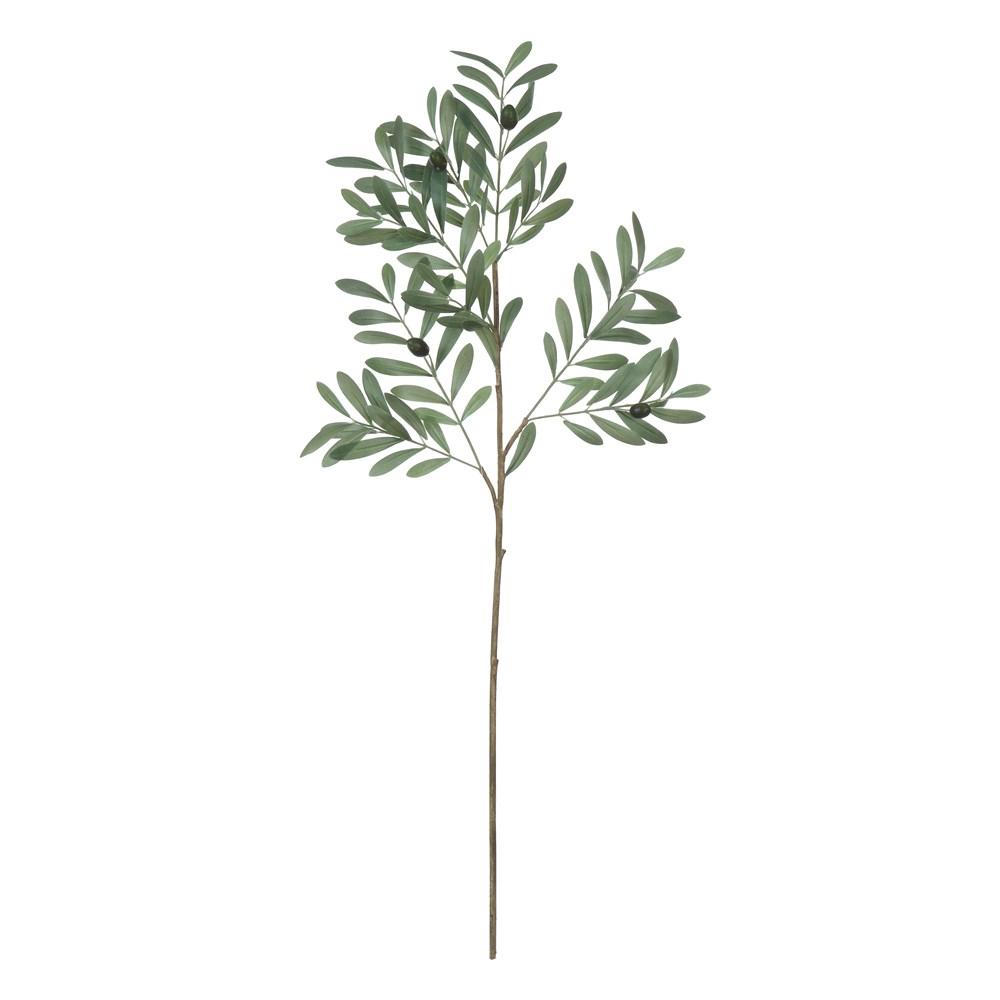 Faux Olive Branch - Creative Co-Op