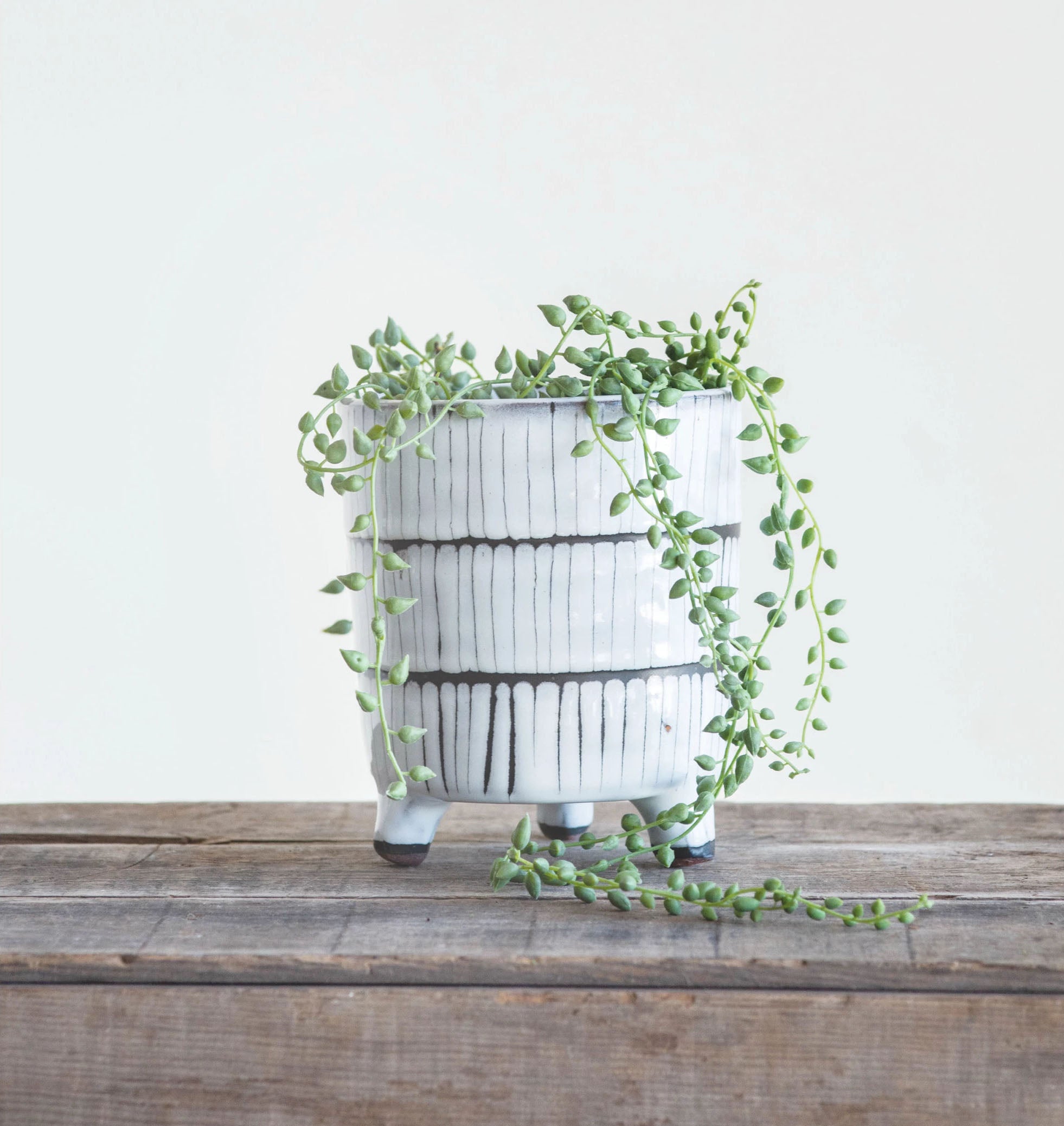 Terracotta Footed Planter with string of pearls plant