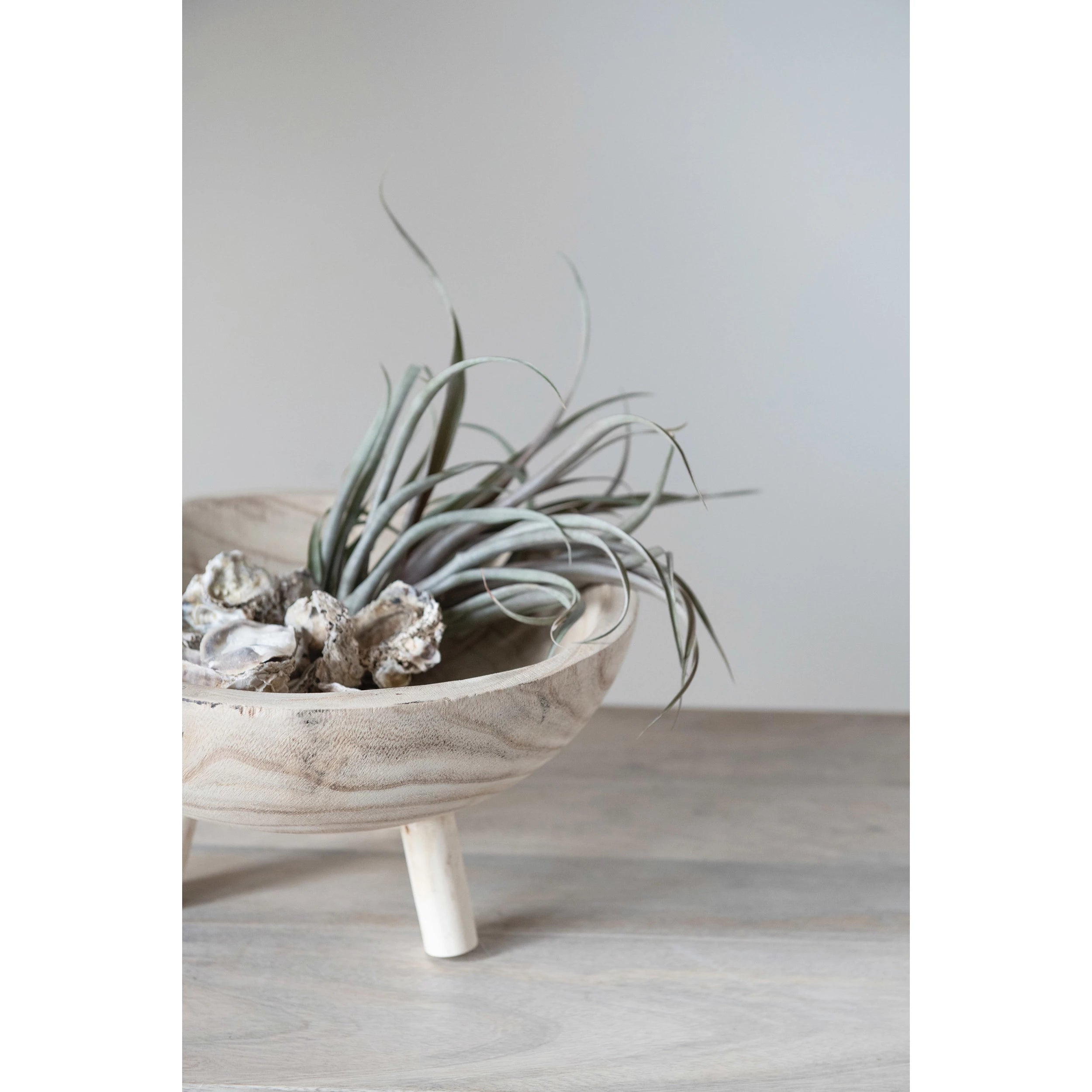 Decorative Paulownia Wood Footed Bowl holding natural objects